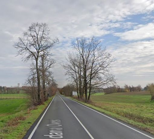 Un tratto della provinciale tra Castello di Annone e Quattordio