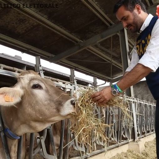 Agricoltura: “Votare Lega e scrivere Racca vuol dire portare le istanze delle nostre aziende agricole a Bruxelles” (VIDEO)