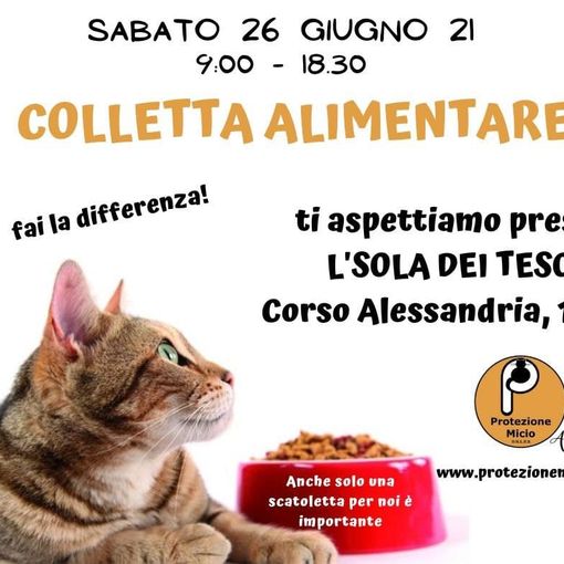 Locandina della raccolta alimentare