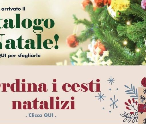 Immagine natalizia Rava e Fava