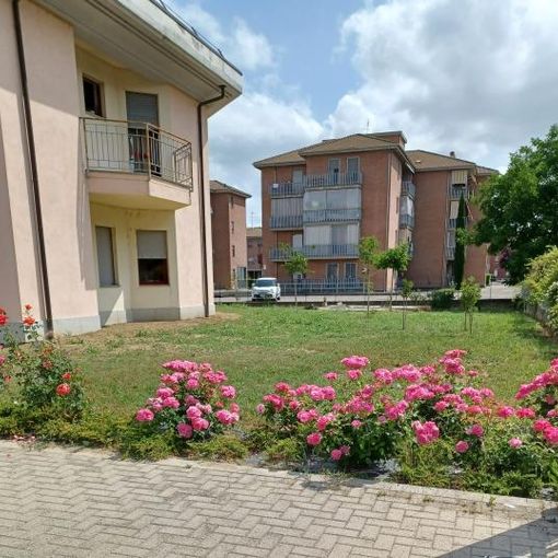 Tagliando della memoria  e maratona Alzheimer, due iniziative astigiane
