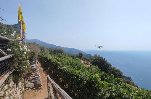 Gemellaggio Langhe-Cinque Terre per svolta green coi droni