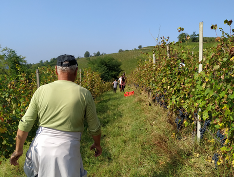 &quot;Necessaria anche ad Asti la costituzione della Rete del Lavoro Agricolo di Qualità&quot;