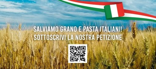 Salviamo il grano italiano. Partita la petizione nazionale di Cia cui aderisce anche Asti