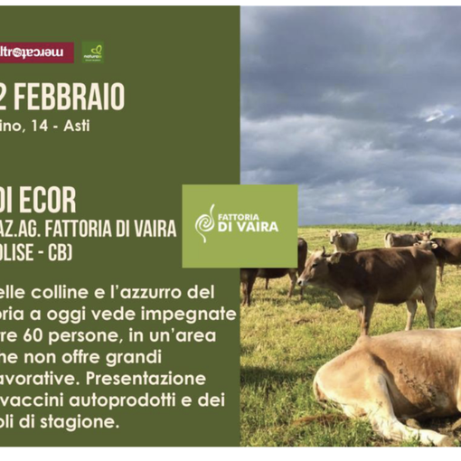 In casa Rava e Fava una giornata dedicata alla storica Fattoria di Vaira, sabato 12 febbraio