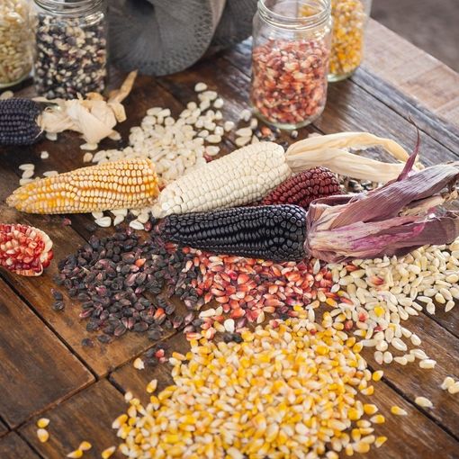 Viviamo in un posto bellissimo di saperi, sapori e semi