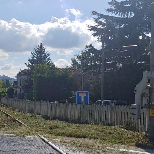 Alberi alti più di 4 metri in prossimità dei binari, RFi chiede di tagliarli in prossimità della tratta Alba-Castagnole
