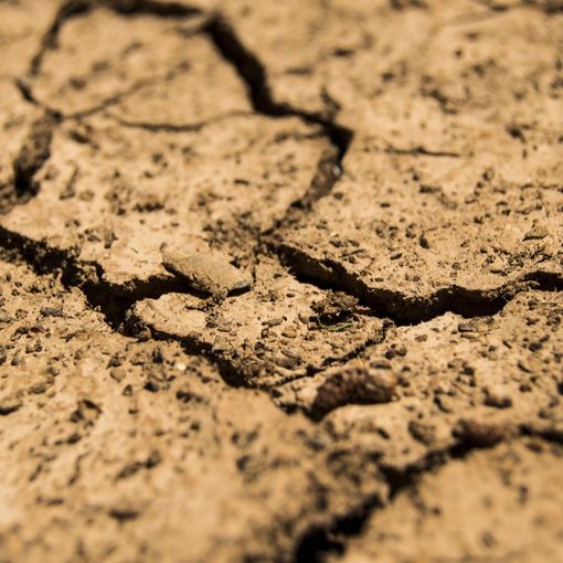 Inverno da record in Piemonte, troppo caldo e siccità