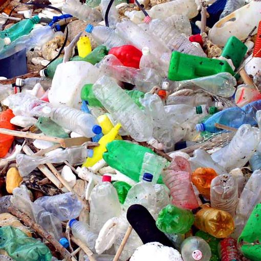 Plastic Tax e Sugar Tax, Coldiretti Asti: &quot;Effetto sulla spesa delle famiglie, bene la proroga&quot;