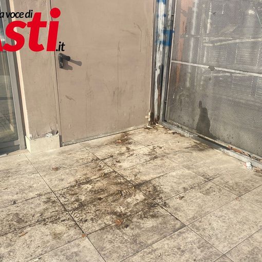 Movicentro ancora sotto accusa per scarsa pulizia e precarie condizioni igieniche [GALLERIA FOTOGRAFICA]