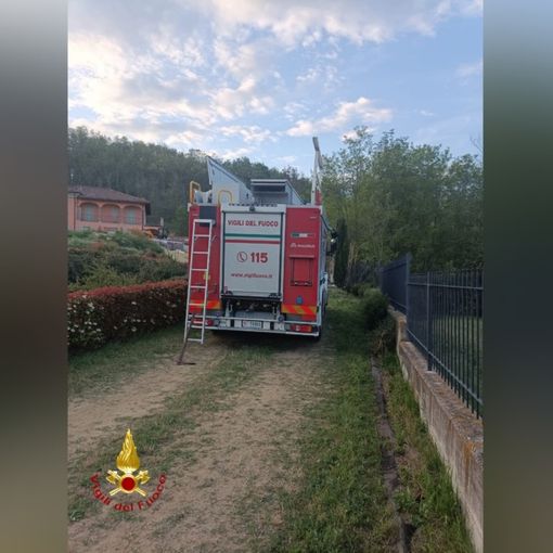 Gatto incastrato in una tubazione stradale: liberato dai Vigili del Fuoco