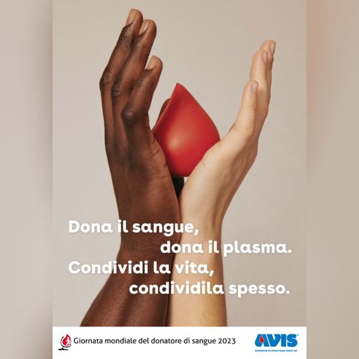 Il calendario AVIS 2023 firmato da Anita Ferrero: una fusione di arte e impegno sociale [VIDEOINTERVISTA]