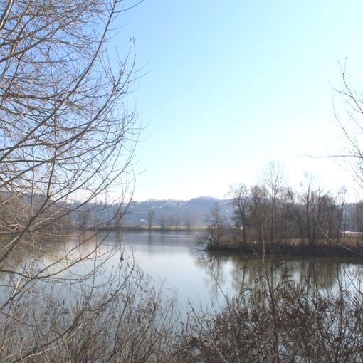 Immagini degli Stagni di Belangero con Asti sullo sfondo e nel territorio di Revigliasco