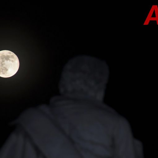 Foto di Merfephoto