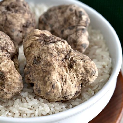 Fiere del Tartufo tra Astigiano e Alessandrino, un autunno profumato con la Camera di Commercio