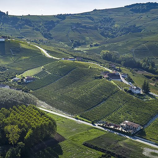 Per la Cantina Terre del Barolo un 2019 importante
