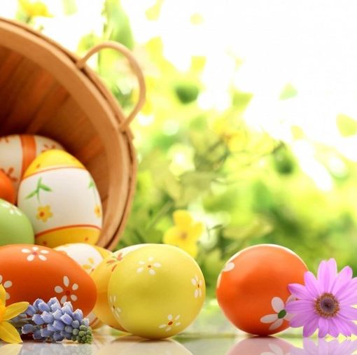 Indecisi su cosa fare ad Asti in questo fine settimana di Pasqua? Ecco le nostre proposte
