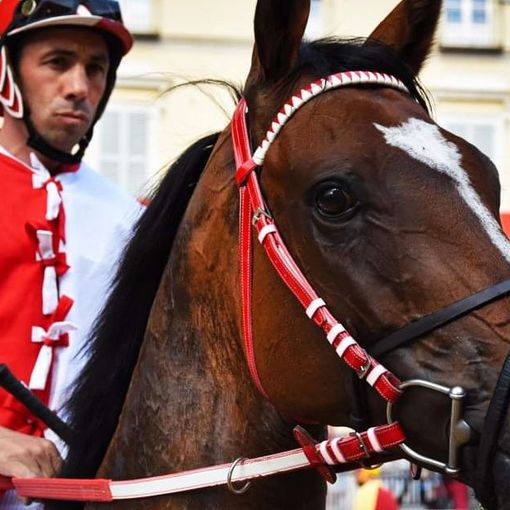 Valter Pusceddu &quot;Bighino&quot;