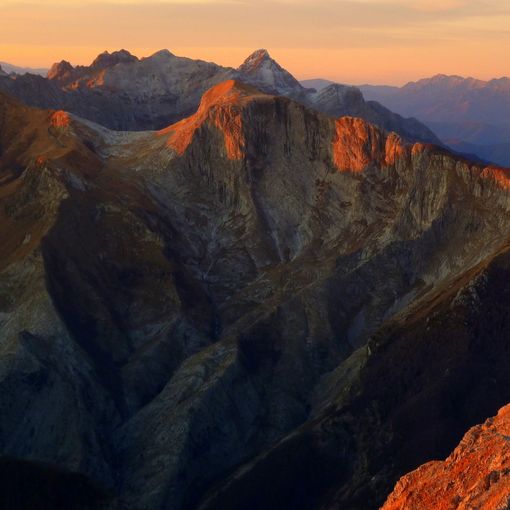 Foto Wikipedia