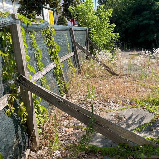 Decoro urbano e viabilità al centro di due nuove interrogazioni della minoranza