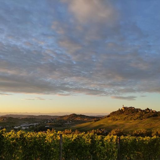 Vigne, colli e borghi dell'Astigiano