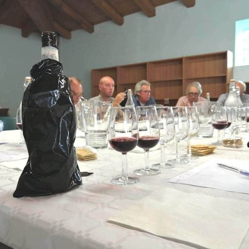 L'esame dei campioni di Vininvilla da parte degli esperti dell'Onav