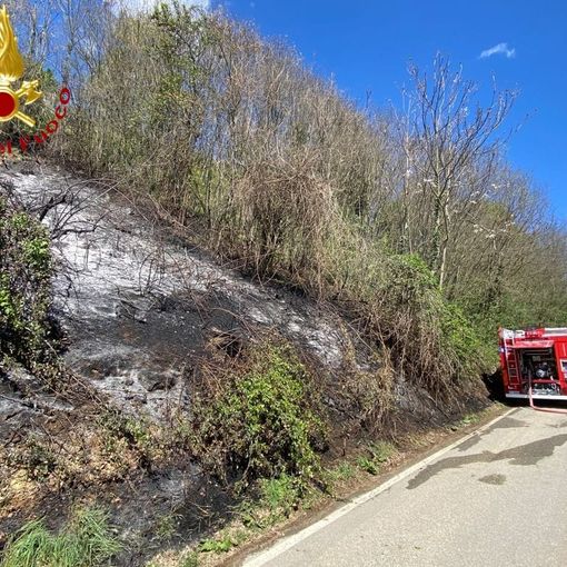 Sessant: a fuoco sterpaglie in un bosco. Coinvolti mille metri quadri di terreno