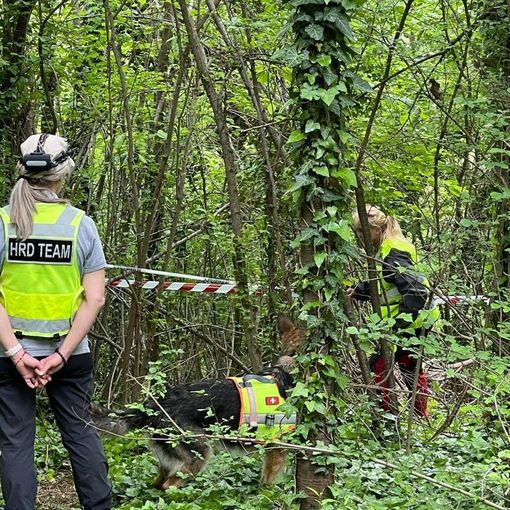 Caso Farinella: oggi trovati nuovi resti dello scheletro nei boschi dell'Astigiano