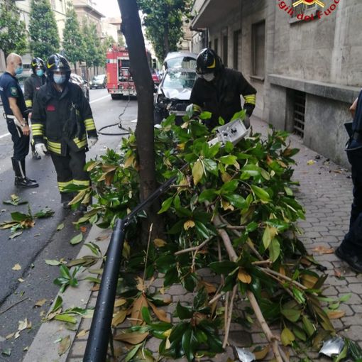 Perde il controllo dell'auto centrando un palo e un albero in corso Dante