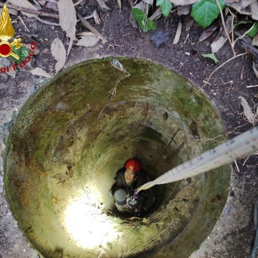 Montechiaro, cane caduto in un pozzo profondo 20 metri salvato dai vigili del fuoco