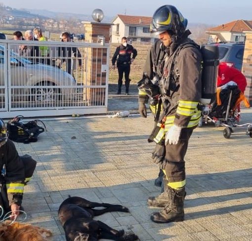 Vigili del fuoco impegnati nel soccorrere i cani della famiglia intossicata e altri soccorritori sullo sfondo