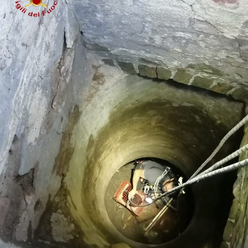 Alcune immagini del recupero dell'animale e, nell'ultima foto, i vigili del fuoco intervenuti
