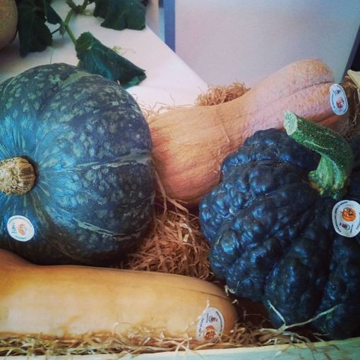 Vacanze nell’Astigiano con tanto sale in zucca