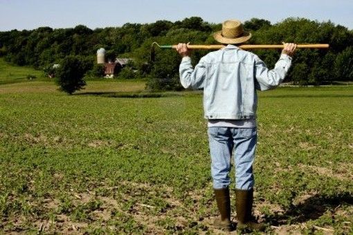 Coldiretti Asti - Psr: con Pacchetto Giovani nuove opportunità per imprenditoria giovanile