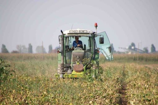 Emergenza idrica, dalla Regione gasolio agricolo a prezzo agevolato