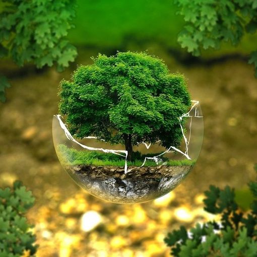 Paper week challenge: Asti aderisce con il sostegno di GAIA