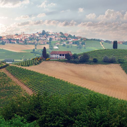 Un progetto pilota per valorizzare le bellezze paesaggistiche del Monferrato astigiano