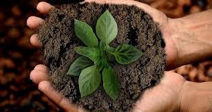 Coldiretti, &quot;La vera Agricoltura Sociale fa bene all'Italia&quot;, presentazione del 1° rapporto sull’agricoltura sociale  e dei progetti sviluppati in Piemonte
