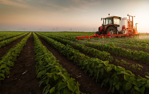 La Regione Piemonte stanzia 8,6 milioni a sostegno delle aziende agricole