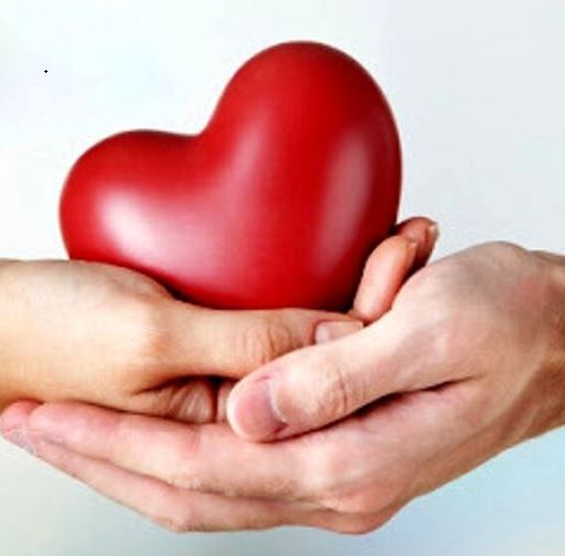 Domenica 11 aprile, sarà la Giornata Nazionale Donazione Organi, quest'anno organizzata da una scuola