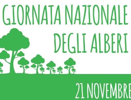 Oggi è la Giornata nazionale degli alberi, iniziative anche nell'Astigiano