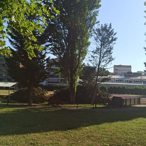 Roatto, alla scoperta de "La Vita Segreta degli Alberi": incontro con l'agronomo Luigi Delloste Roatto, alla scoperta de "La Vita Segreta degli Alberi": incontro con l'agronomo Luigi Delloste