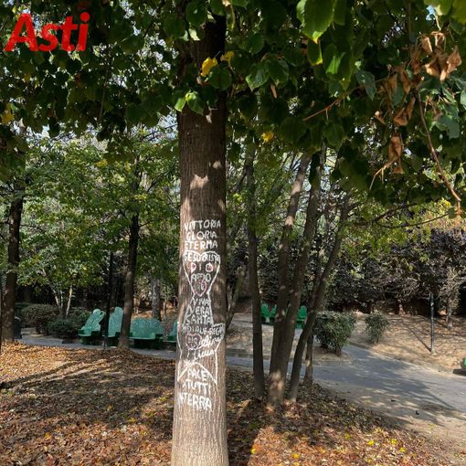 Ai giardini Alganon tornano i vandali. Scritte su una pianta all'entrata da via Mons Rossi