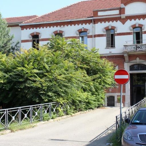Ailanto all'ex Colli di Felizzano: davanti alla Casa di riposo, lungo il muro di via Bocca e all'Università