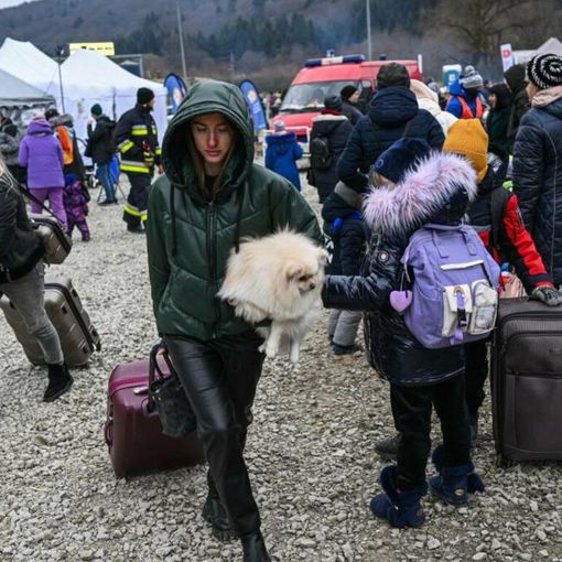 Anche ad Asti attivi i veterinari per gli animali in fuga dalla guerra con i profughi