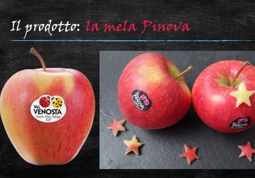 Felici &amp; Veloci, la nuova Ricetta AutograFATA di Fata Zucchina. Oggi prepariamo gli apple donuts