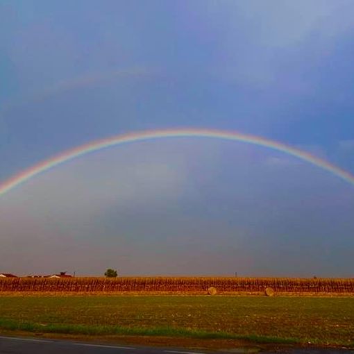 Il colore dell'arcobaleno: la rubrica dei colori a cura della residenza per disabili &quot;Il Borgo&quot;