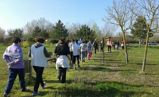 Un gruppo di cammino della Asl