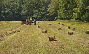 Aiuti per l'avviamento di attività imprenditoriali per attività extra agricole. Un bando del Gal Basso Monferrato Astigiano