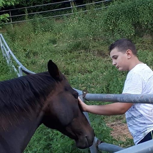 Associazione missione autismo al via il progetto &quot;E...state insieme&quot; per otto bambini e ragazzi
